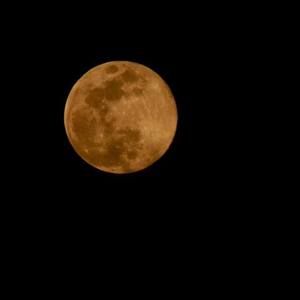 Meet your Posher, Rae